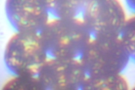 Photo on 3-23-14 at 1.05 PM.jpg