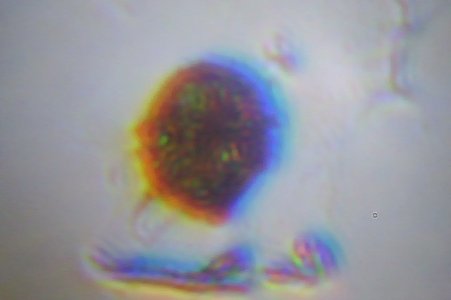 Photo on 3-23-14 at 12.38 PM.jpg