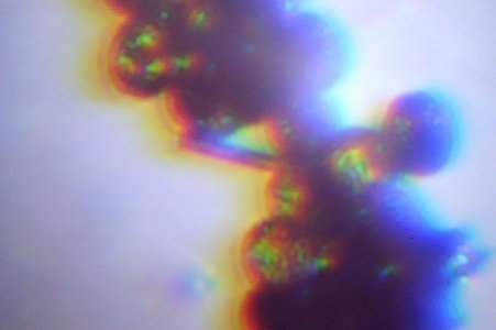 Photo on 3-23-14 at 12.39 PM.jpg