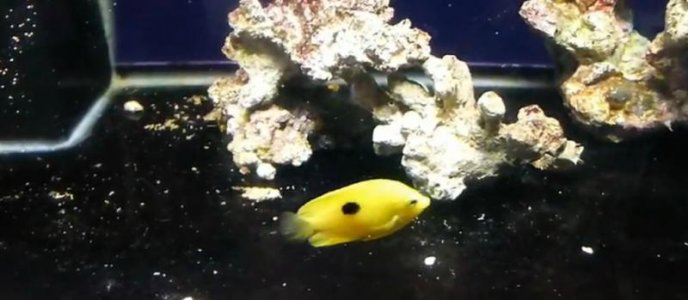 Screen Shot 2014-04-13 at 7.41.21 PM.jpg