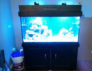 _20140413_165309.jpg _20140413_165309.jpg