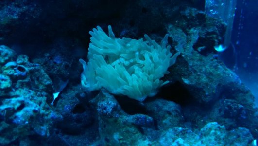 2014-03-24 18.50.36.jpg 2014-03-24 18.50.36.jpg