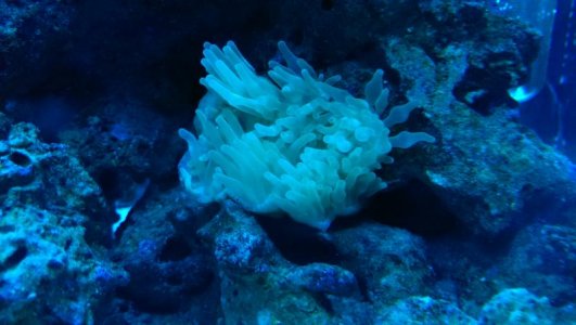 2014-03-24 18.50.57.jpg 2014-03-24 18.50.57.jpg