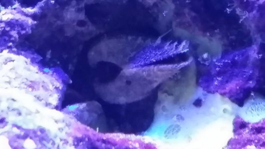 2014-04-15 22.15.20.jpg