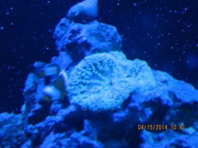 IMG_1485.jpg IMG_1485.jpg