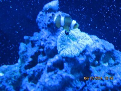 IMG_1488.jpg IMG_1488.jpg