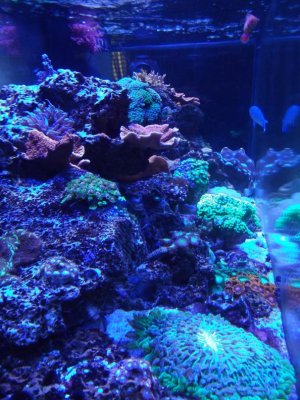 DSCF4154.jpg