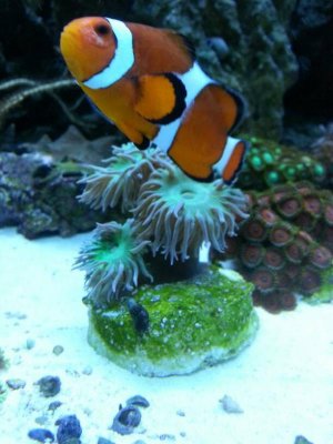 uploadfromtaptalk1395791602933.jpg uploadfromtaptalk1395791602933.jpg