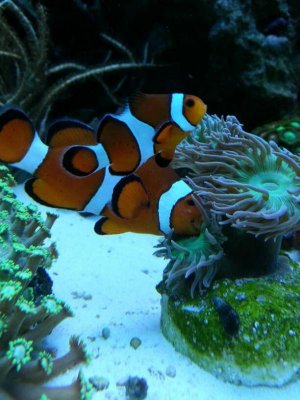 uploadfromtaptalk1395791629878.jpg uploadfromtaptalk1395791629878.jpg