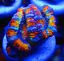 $T2eC16J,!yoFIeRn+rBIBSVO3MVvJw~~60_14.JPG