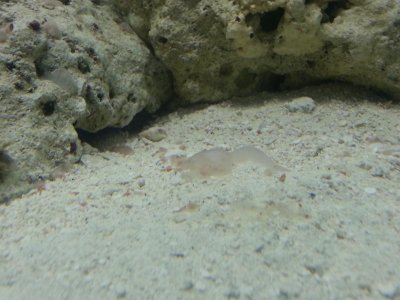 20140327_214458.jpg