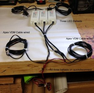 IMG_5437 (Medium).jpg