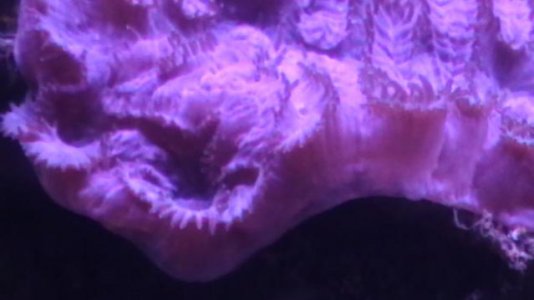 IMGA0031.jpg