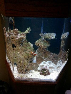 2014-04-18 21.55.59.jpg