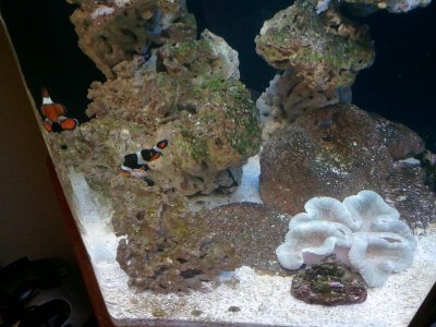 2014-04-18 21.56.36.jpg