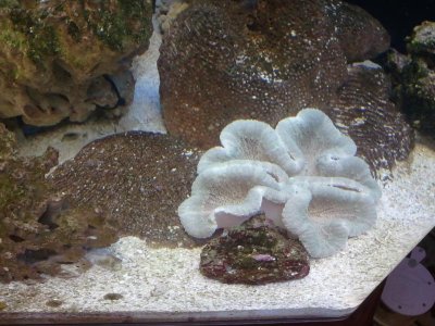 2014-04-18 21.56.49.jpg