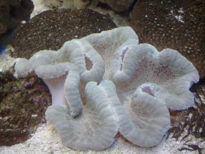 2014-04-18 22.02.54.jpg