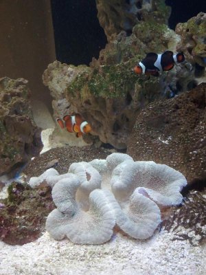 2014-04-18 22.06.25.jpg