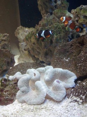 2014-04-18 22.07.38.jpg