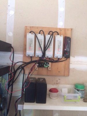 ImageUploadedByTapatalk1397924357.771707.jpg