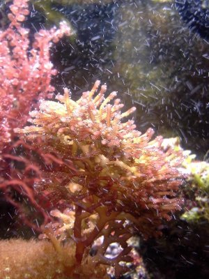 20140328_230756plant.jpg