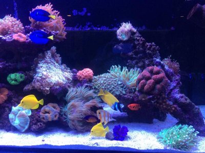 photo (2).jpg
