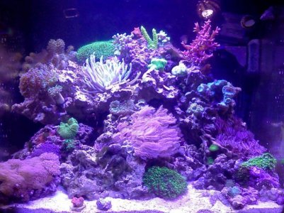 1397424249_tmp_IMG_20140413_164651.jpg