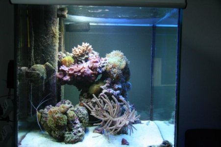reefcubesold4.jpg