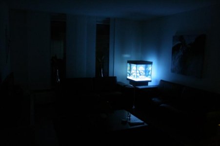 reefcubesold6.jpg