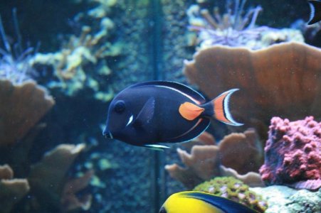 reefcubesold8.jpg