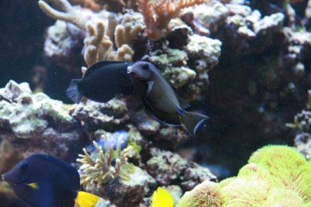 reefcubesold9.jpg