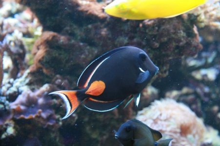 reefcubesold10.jpg