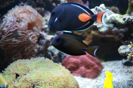reefcubesold12.jpg