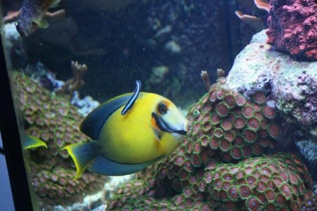 reefcubesold14.jpg