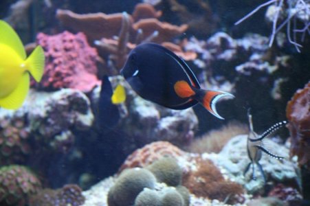 reefcubesold17.jpg