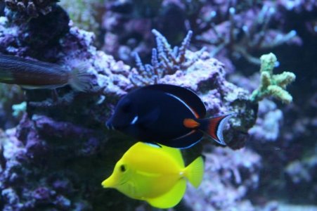 reefcubesold20.jpg