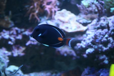 reefcubesold21.JPG
