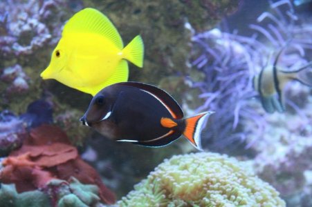 reefcubesold22.jpg