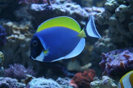 reefcubesold23.jpg