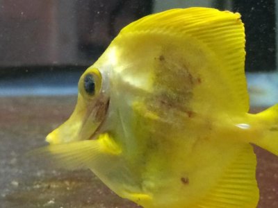 2014-04-20 18.25.56.jpg