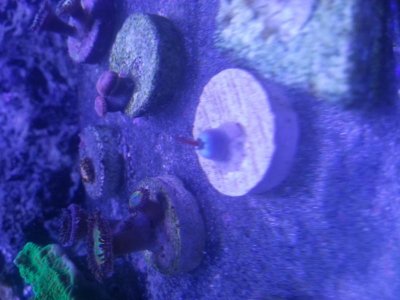 20140330_144740.jpg