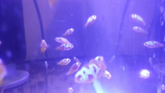 20140421_181407.jpg