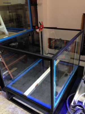 mangrove tank (web).jpg