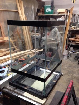 skimmer tank (web).jpg