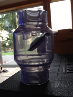 clear check valve (web).jpg
