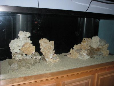 IMG_3108.jpg