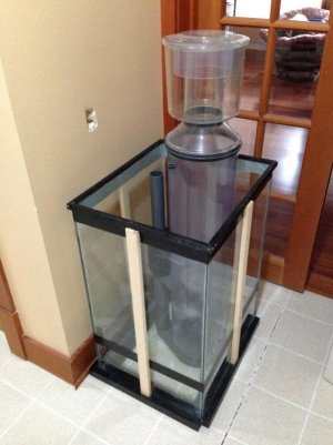 skimmer tank w skimmer.jpg