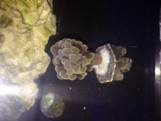 photo 1.JPG