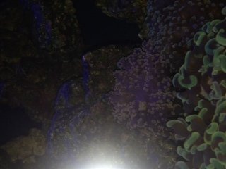 photo 2.JPG