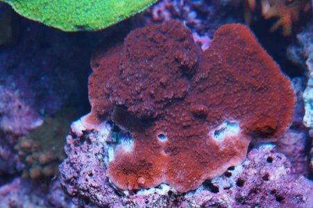 P4220164a.jpg